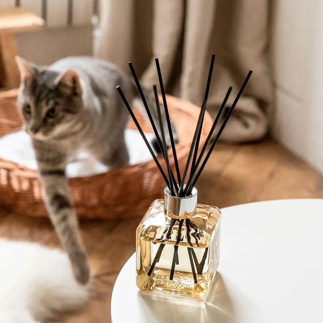 Аромадиффузор и аромат 100мл